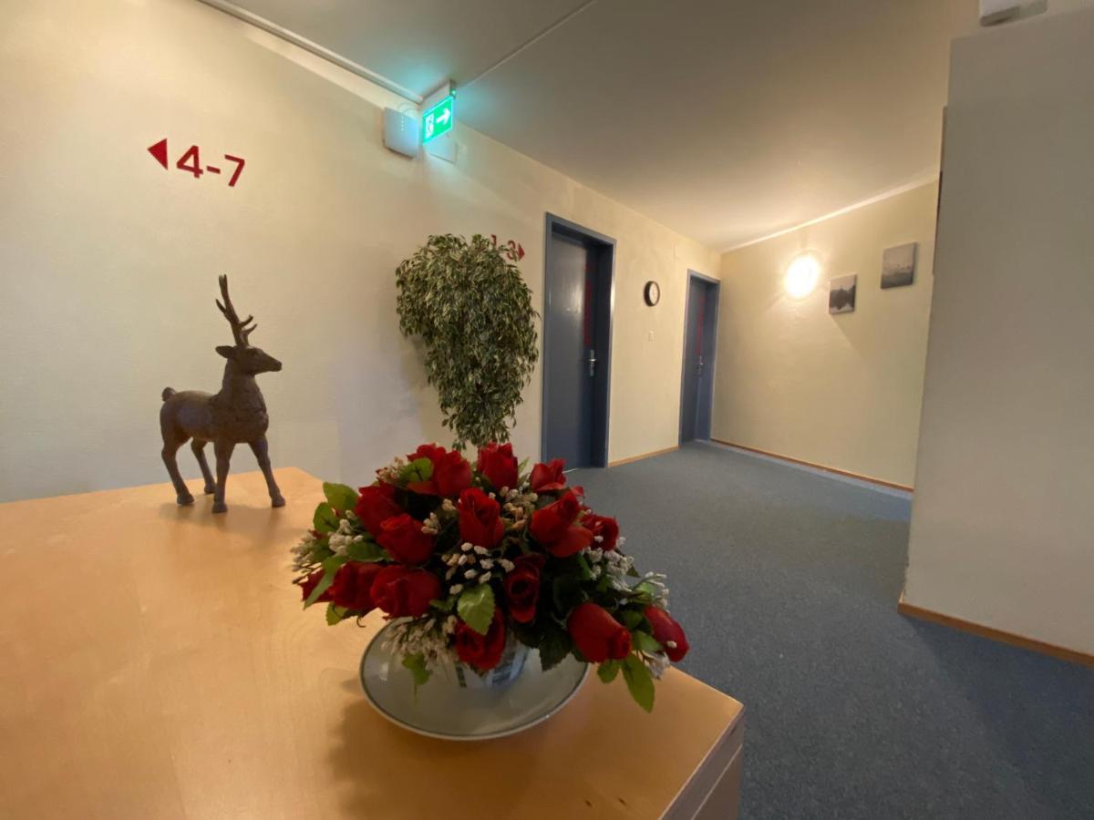 Hotel Hirschen Hinwil 外观 照片
